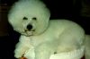 Filename=004_03A.JPG
Filesize=257KB
Dimensions=768x512
Date added=May 05, 2010 004_03A.JPG