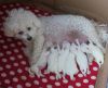 Filename=Vauvat.jpg
Filesize=88KB
Dimensions=400x324
Date added=Aug 27, 2014 Vauvat.jpg